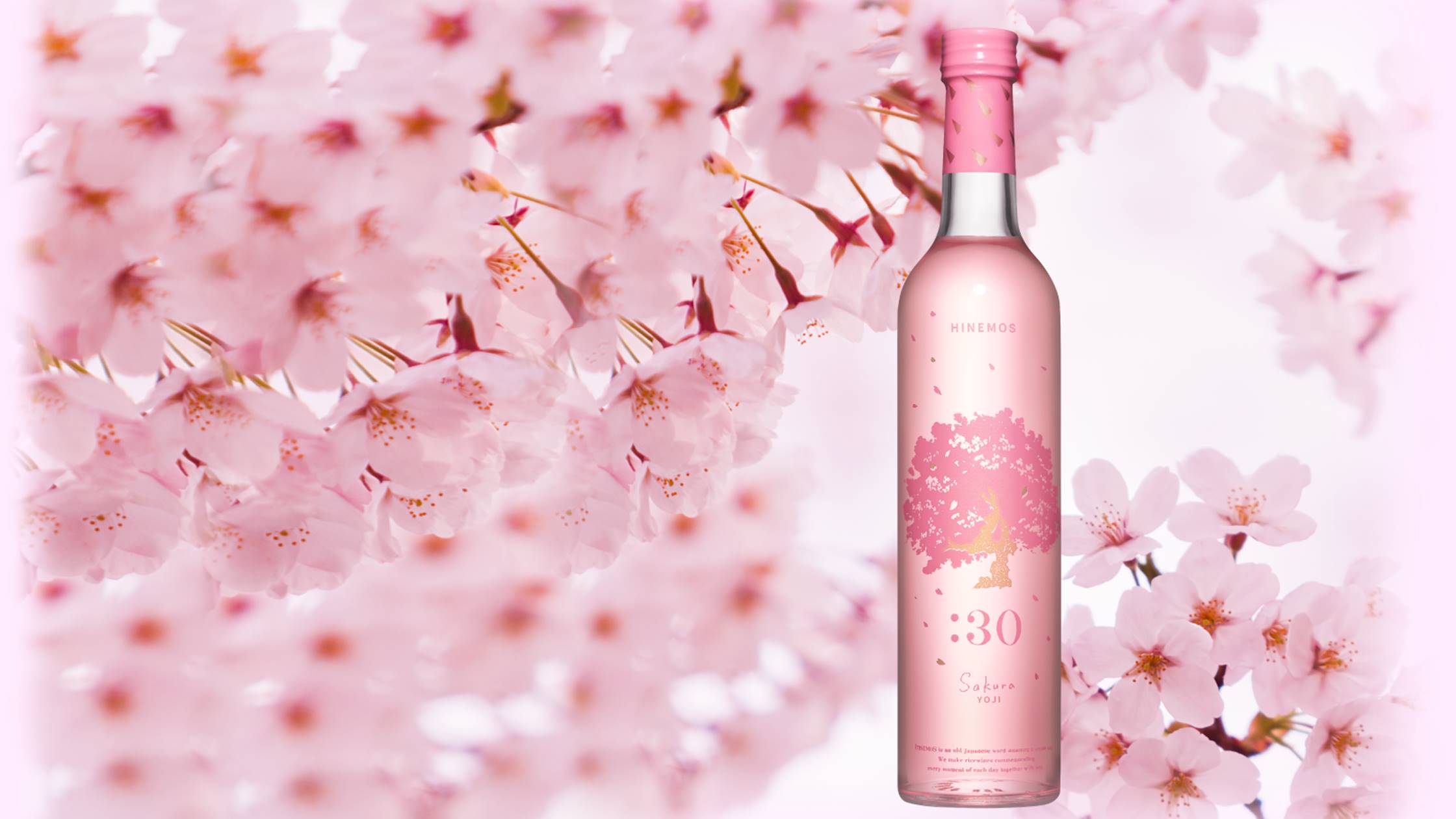 日本酒】Sakura YOJI｜おすすめ情報｜ラグーナベイコート倶楽部 ホテル