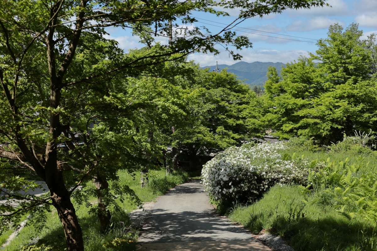 飛驒民俗村『文学散歩道』｜おすすめ情報｜サンクチュアリコート高山