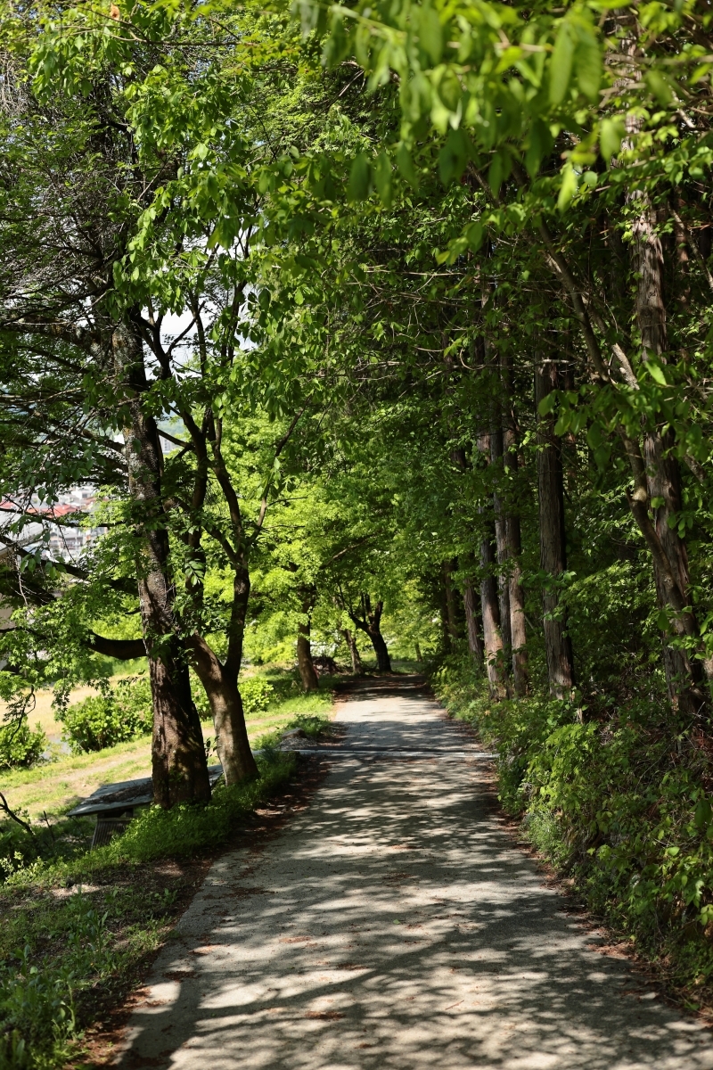 飛驒民俗村『文学散歩道』｜おすすめ情報｜サンクチュアリコート高山