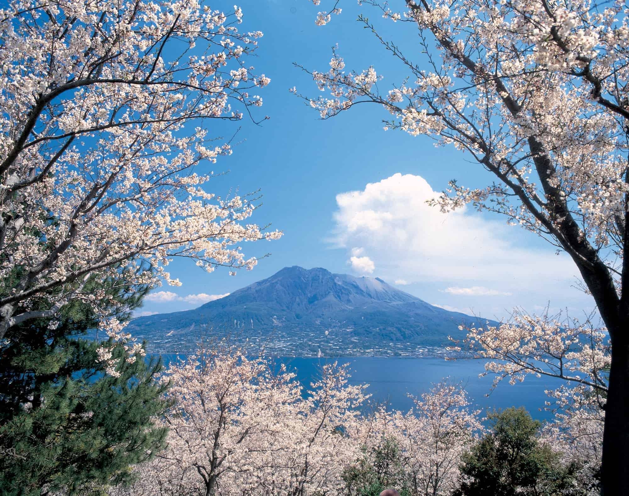 おすすめ情報｜サンメンバーズ鹿児島｜ホテル｜リゾートトラスト
