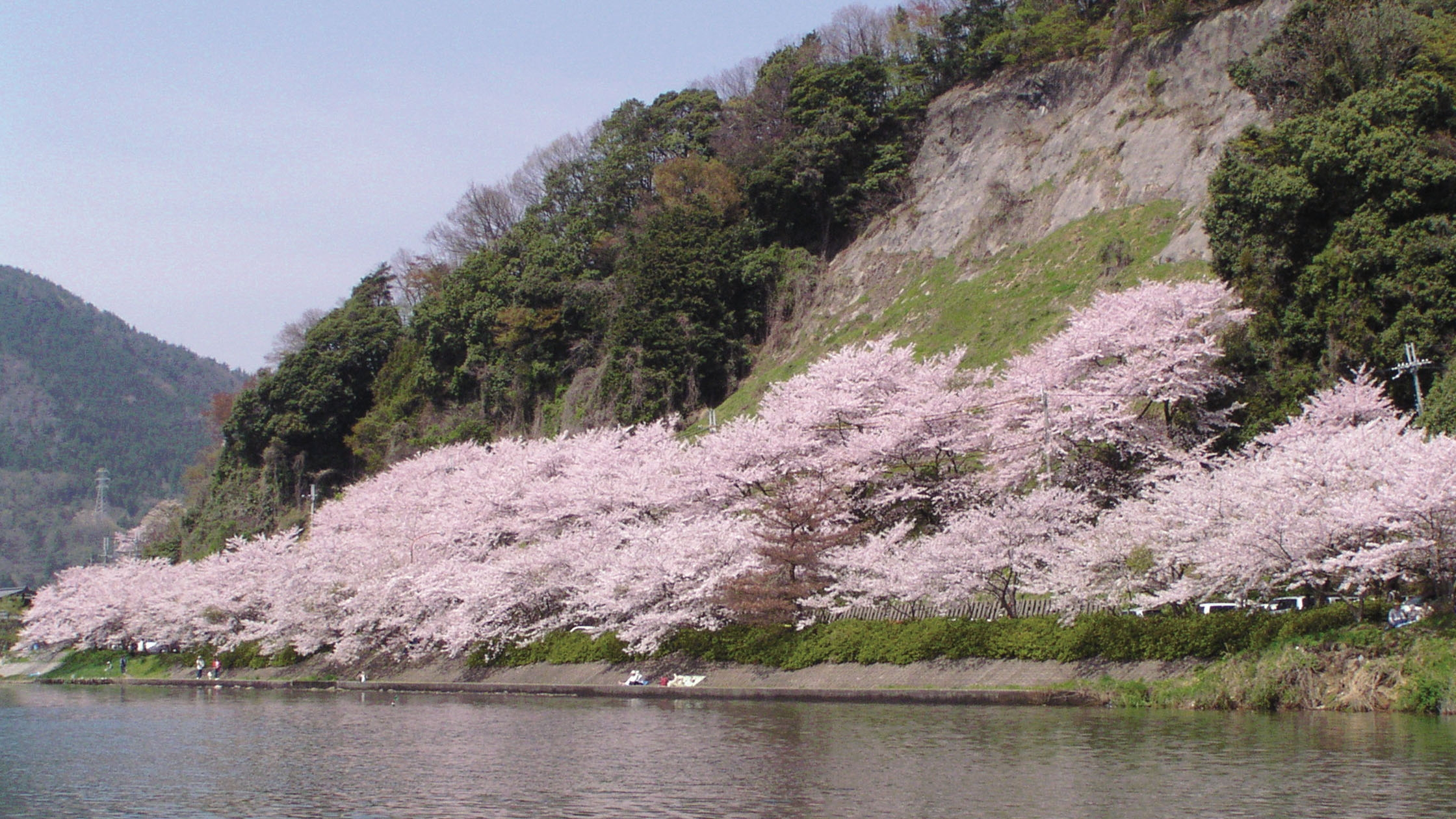絵画　吉野晁生（よしのあさお）　タイトル「海津大崎の桜」 絵画 吉野晁生（よしのあさお） タイトル「海津大崎の桜」 - メルカリ