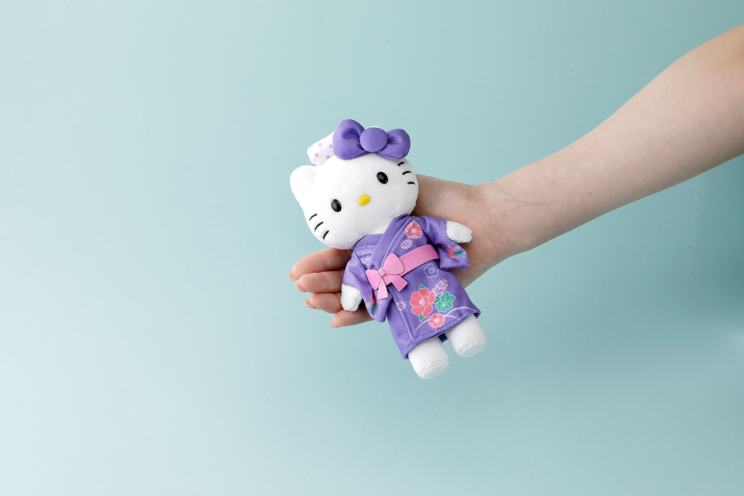 エクシブ限定 ハローキティ エクシブ ハローキティ プラン2025 -第3弾-｜おすすめ情報