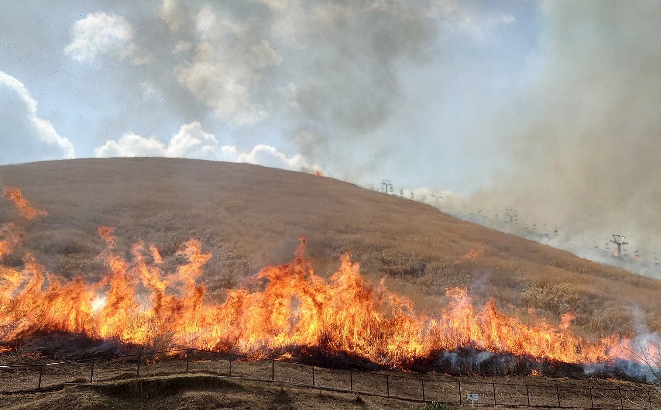 2月8日予定】年に一度「大室山 山焼き 2026」｜おすすめ情報｜エクシブ