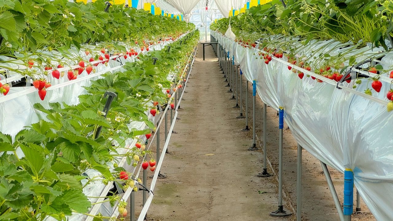 軽井沢ガーデンファーム｜おすすめ情報｜グランドエクシブ軽井沢