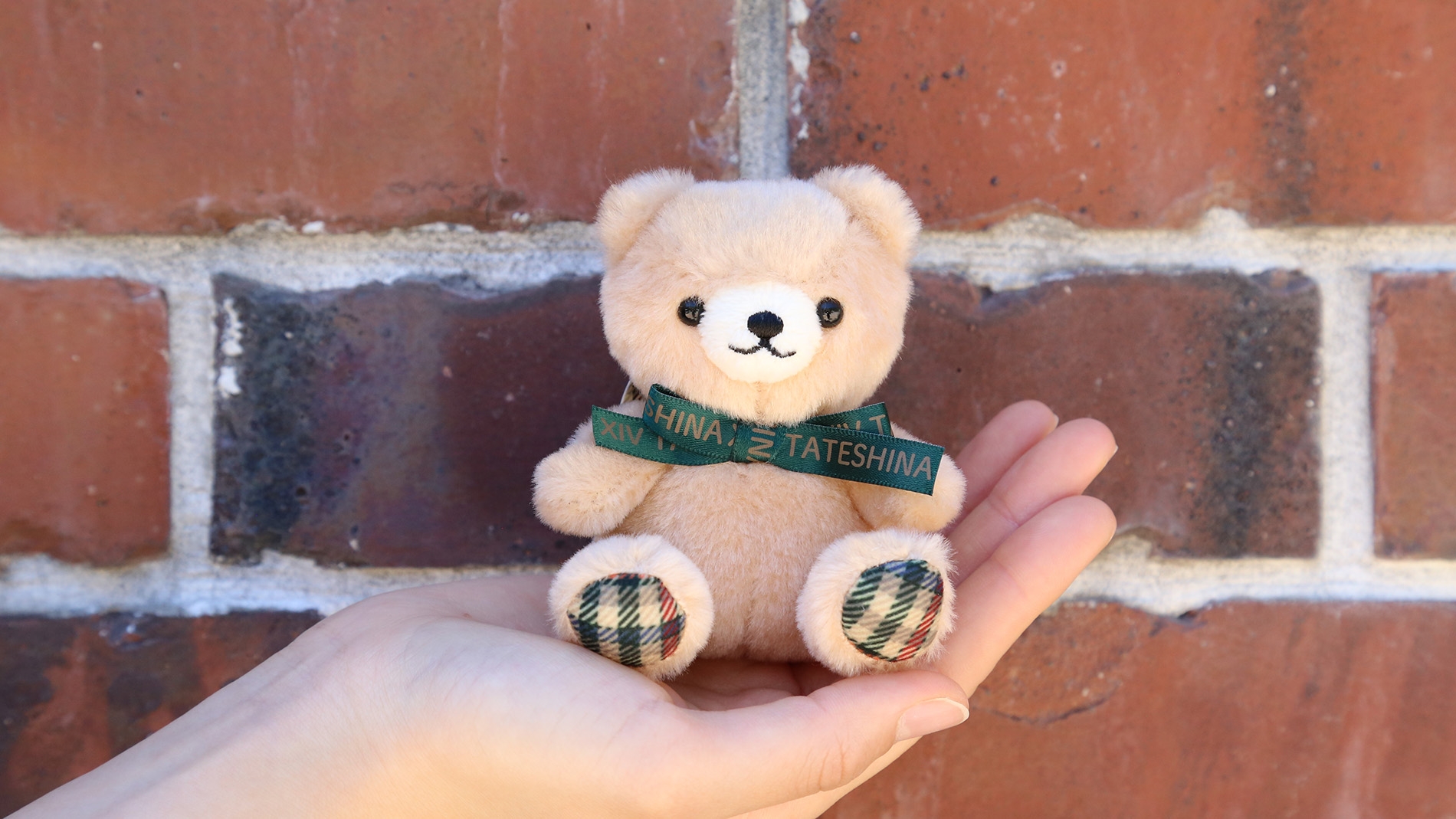 500個限定】エクシブ蓼科オリジナルテディベアチャーム 第3弾