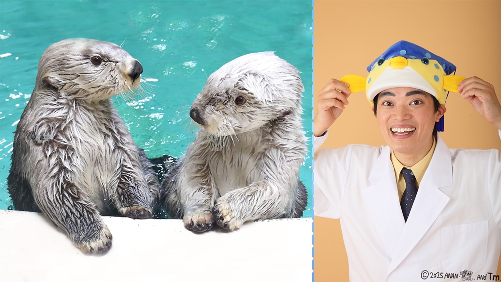 子どもが主役！伊勢志摩家族旅行新定番｜おすすめ情報｜グランド